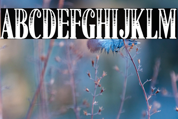 American Dreamer Example 2