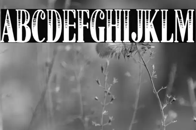 American Dreamer Font examples