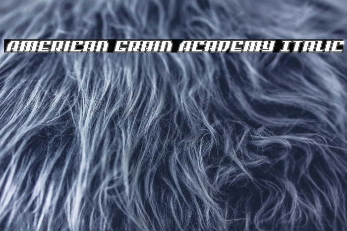 American Grain Academy Italic Example 1