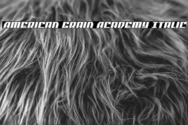 American Grain Academy Italic Font examples