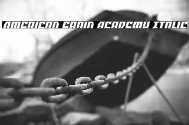 American Grain Academy Italic Font examples