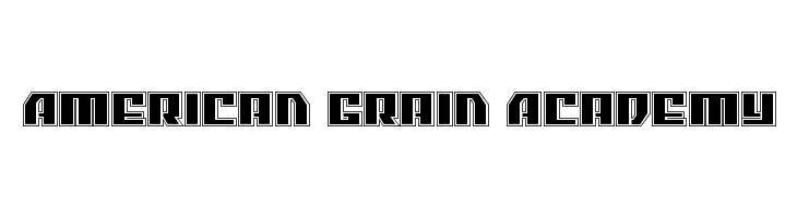 American Grain Academy  免费字体下载