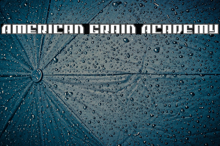 American Grain Academy Example 1