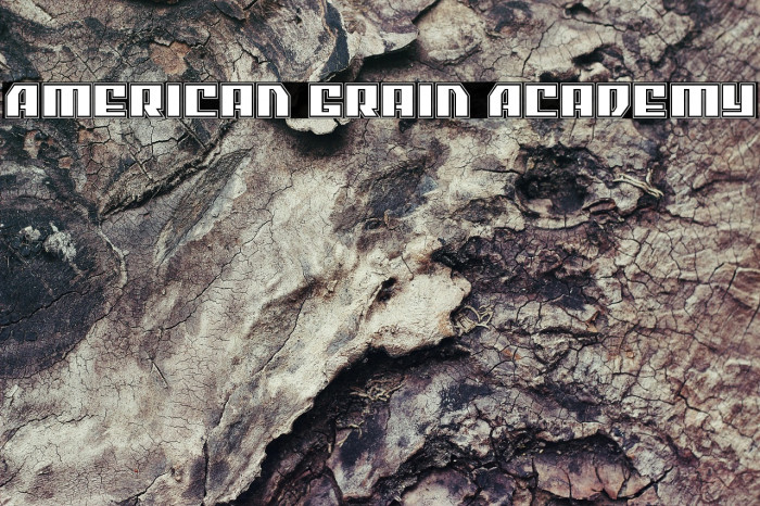 American Grain Academy Example 2