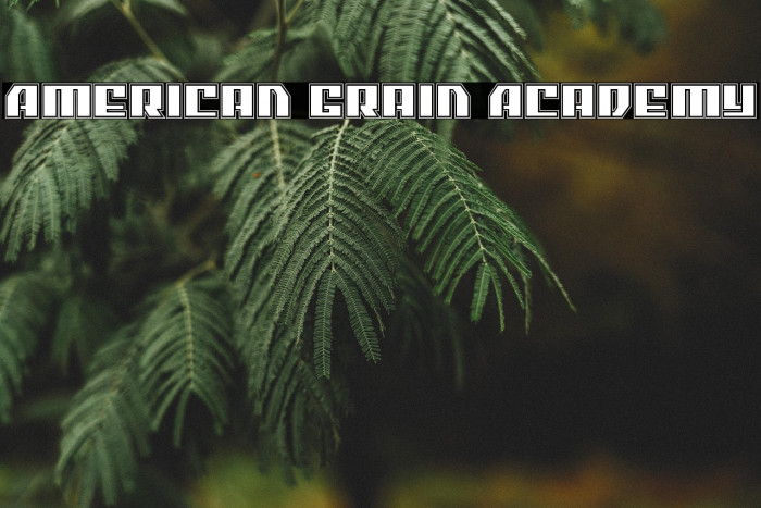 American Grain Academy Example 3