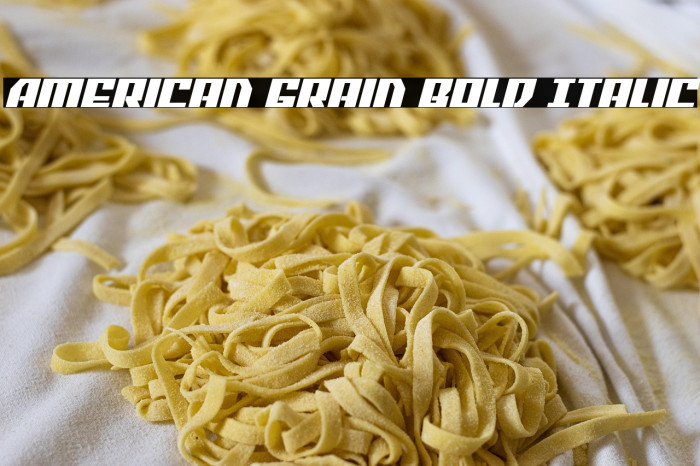 American Grain Bold Italic Example 1