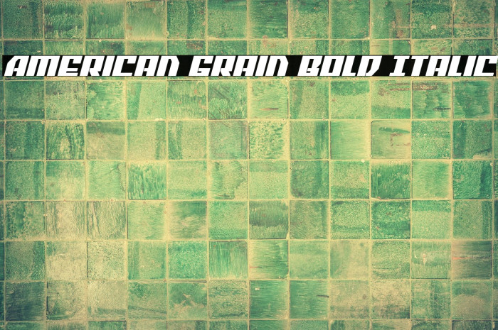 American Grain Bold Italic Example 3