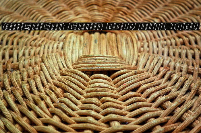 American Grain Bold Outl Itali Example 2