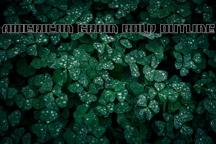 American Grain Bold Outline Example 1