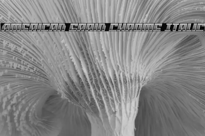 American Grain Chrome Italic Font examples