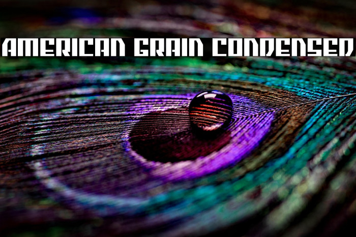 American Grain Condensed Example 1