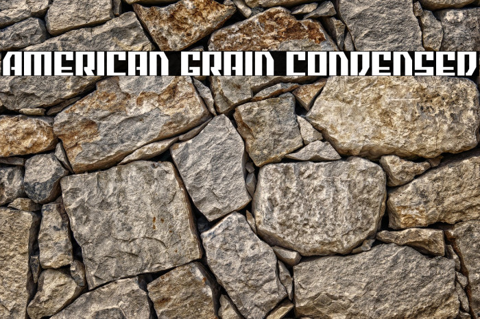 American Grain Condensed Example 2