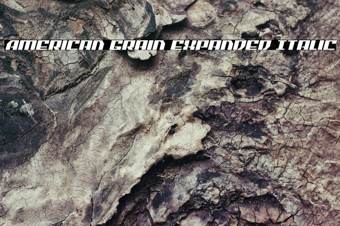 American Grain Expanded Italic Example 1