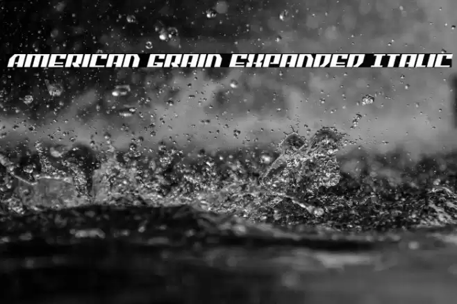American Grain Expanded Italic Font examples