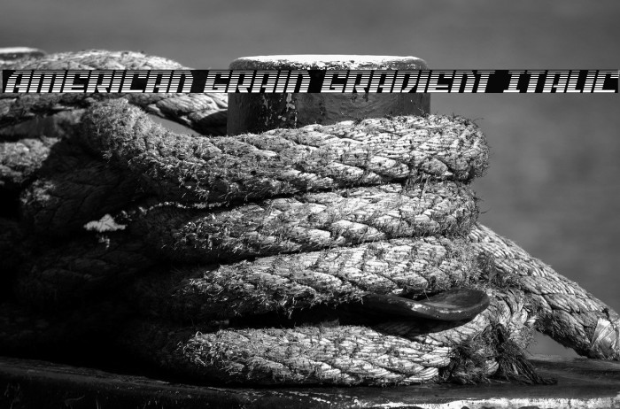 American Grain Gradient Italic Example 3
