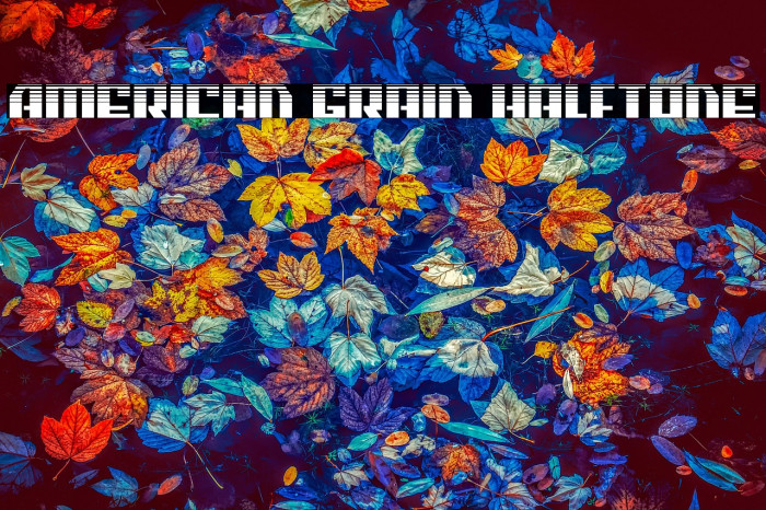 American Grain Halftone Example 2