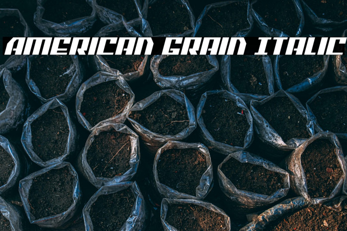 American Grain Italic Example 3