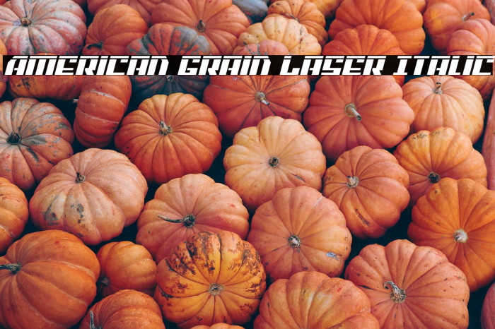 American Grain Laser Italic Example 3