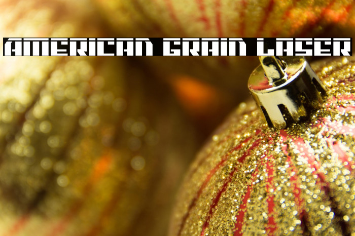 American Grain Laser Example 2