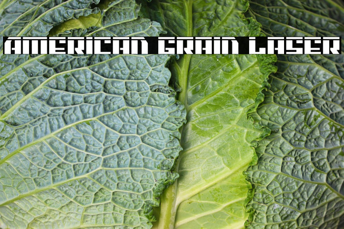 American Grain Laser Example 3