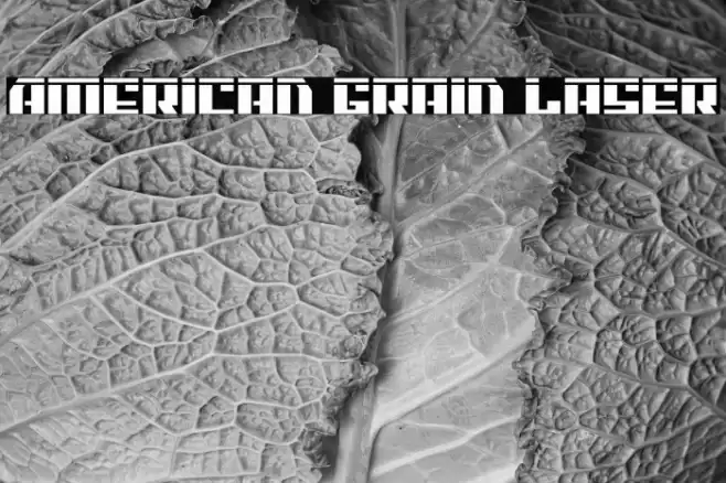 American Grain Laser Font examples