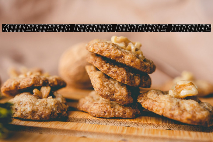 American Grain Outline Italic Example 2