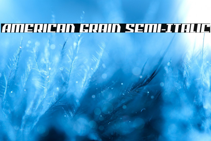 American Grain Semi-Italic Example 3