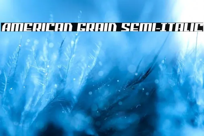 American Grain Semi-Italic Example 3