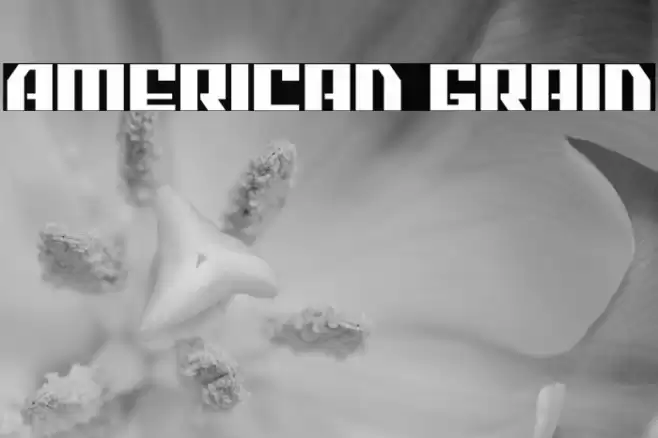 American Grain Font examples