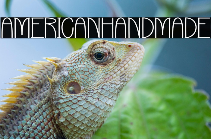 American Handmade Example 3