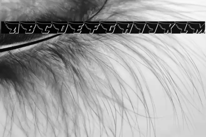 American Kestrel 3D Font examples