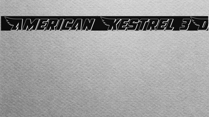 American Kestrel 3D Font examples