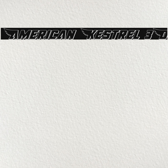 American Kestrel 3D Font examples