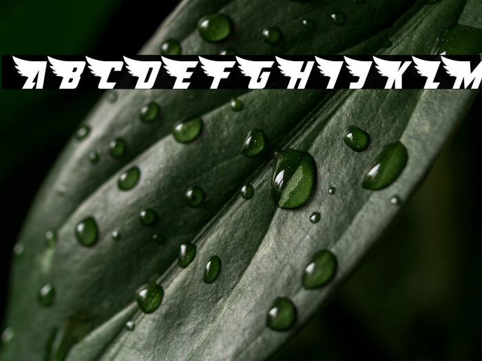 American Kestrel Condensed Example 2