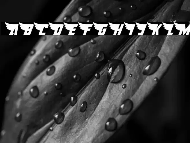 American Kestrel Condensed Font examples