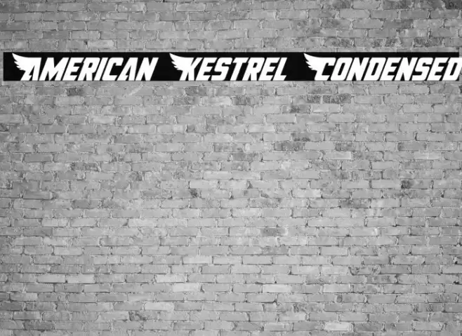 American Kestrel Condensed Font examples