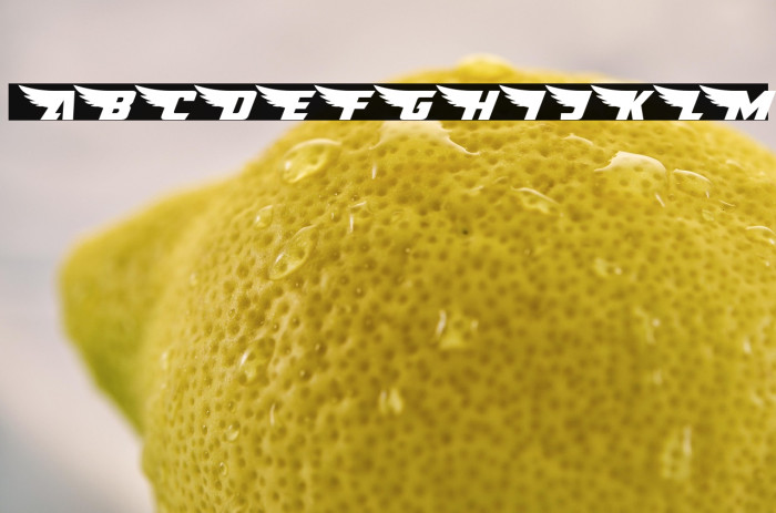 American Kestrel Expanded Example 1