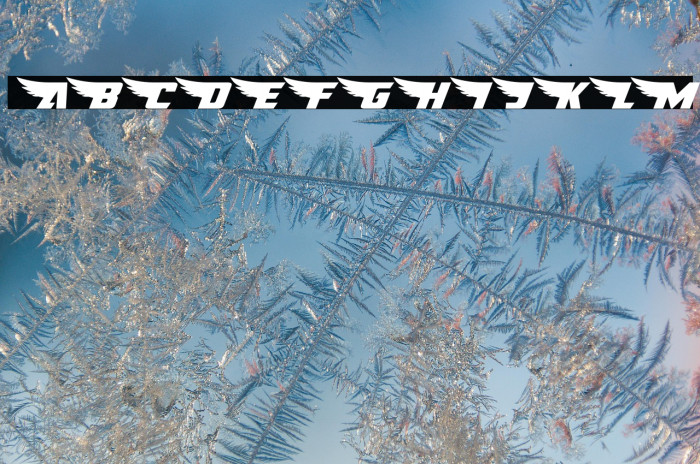 American Kestrel Expanded Example 2