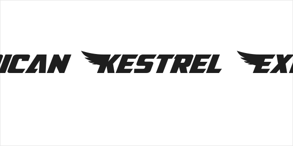 American Kestrel Expanded Logo