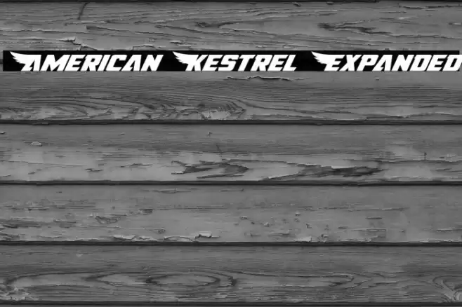 American Kestrel Expanded Font examples