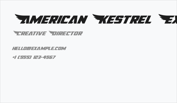 American Kestrel Expanded Business Card