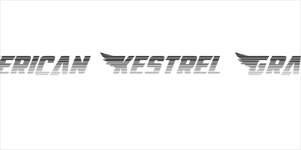 American Kestrel Gradient Logo