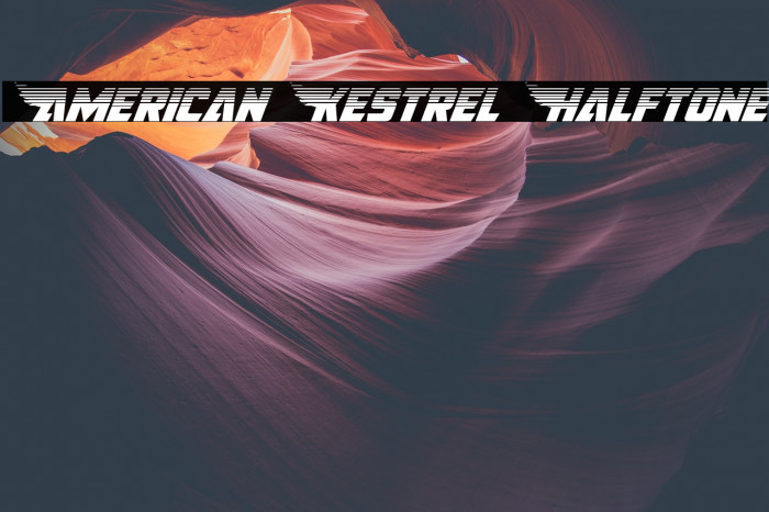 American Kestrel Halftone Example 2