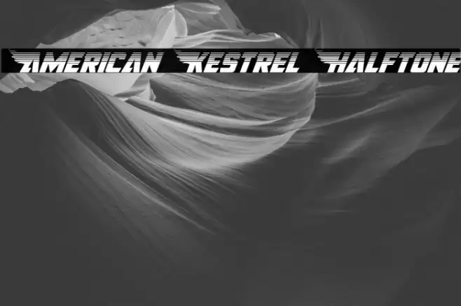 American Kestrel Halftone Font examples