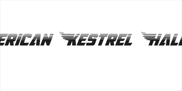 American Kestrel Halftone Logo