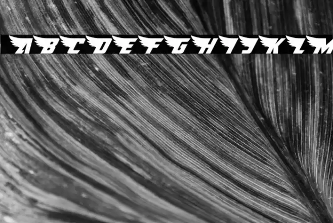 American Kestrel Italic Font examples