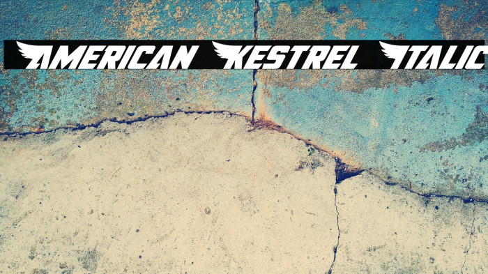 American Kestrel Italic Example 3