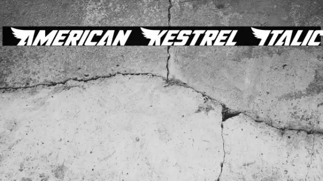 American Kestrel Italic Font examples