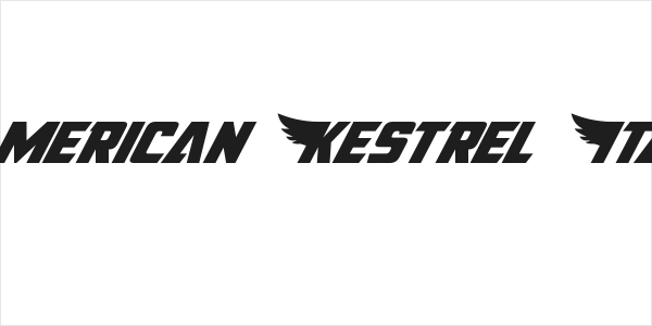 American Kestrel Italic Logo