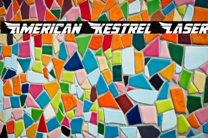 American Kestrel Laser Example 1